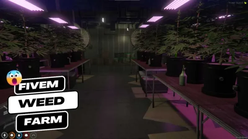 fivem weed shop mlo